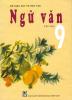 NGỮ VĂN 9 - TẬP HAI
