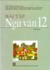 BÀI TẬP NGỮ VĂN 12 - TẬP HAI