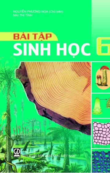 BÀI TẬP SINH HỌC 6