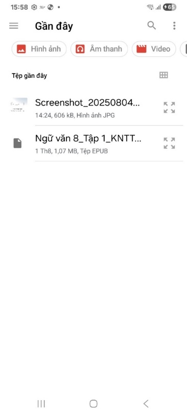 Giao diện khi chọn các tập tin để thêm